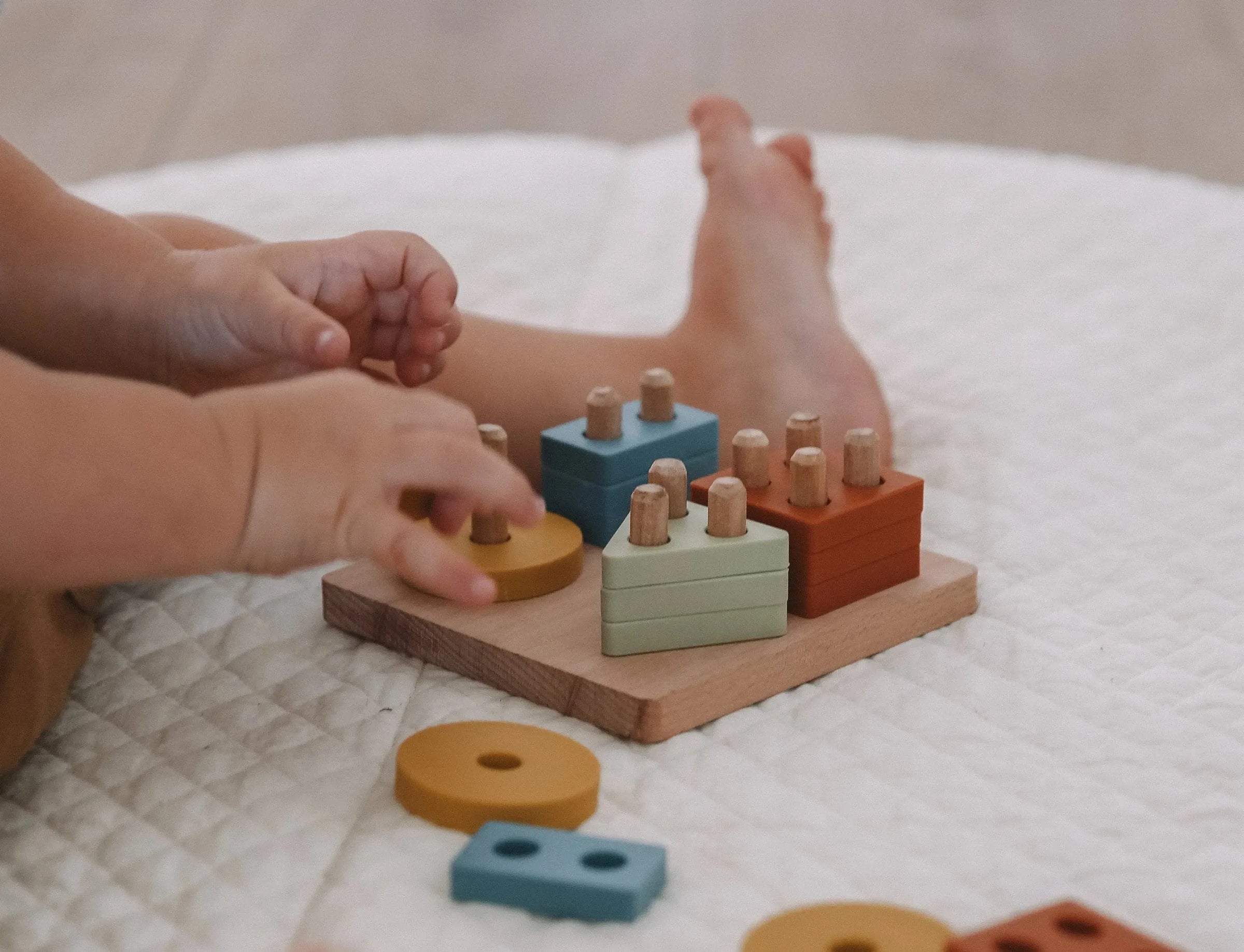 Montessori Shape Puzzle Toy | LYTL®️ - BIG FRENCHIES