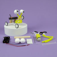 Bug Robot DIY Kit, Educational STEM Toy - BIG FRENCHIES
