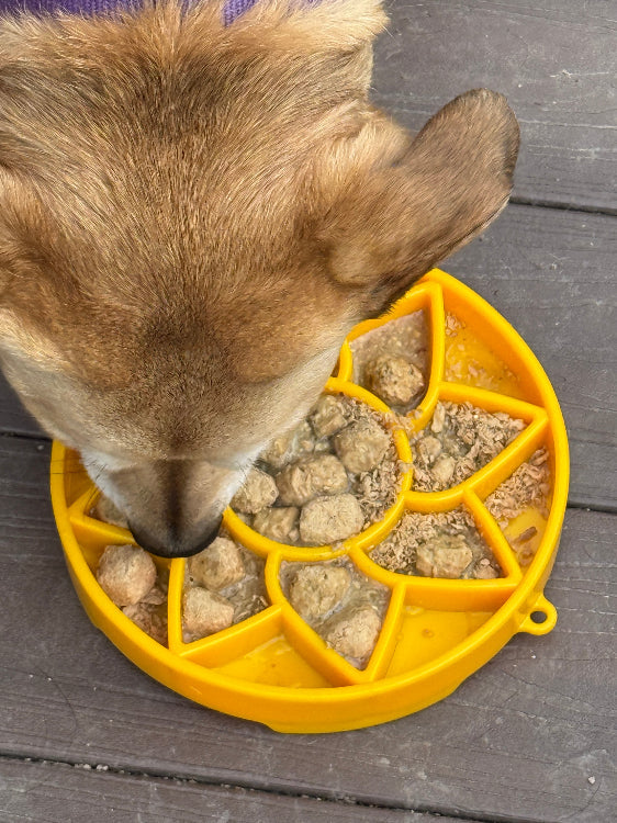 Sunflower eTray Shallow Slow Feeder Dog Bowl for Enrichment | USA Made - BIG FRENCHIES