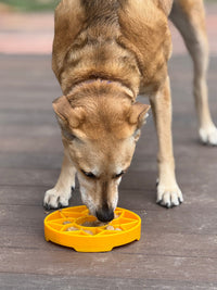 Sunflower eTray Shallow Slow Feeder Dog Bowl for Enrichment | USA Made - BIG FRENCHIES