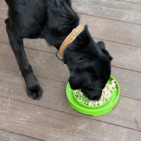 Garden Design eTray - Shallow Slow Feeder Dog Bowl for Enrichment | USA - BIG FRENCHIES