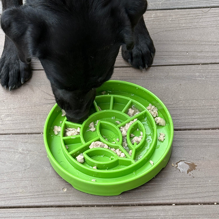 Garden Design eTray - Shallow Slow Feeder Dog Bowl for Enrichment | USA - BIG FRENCHIES