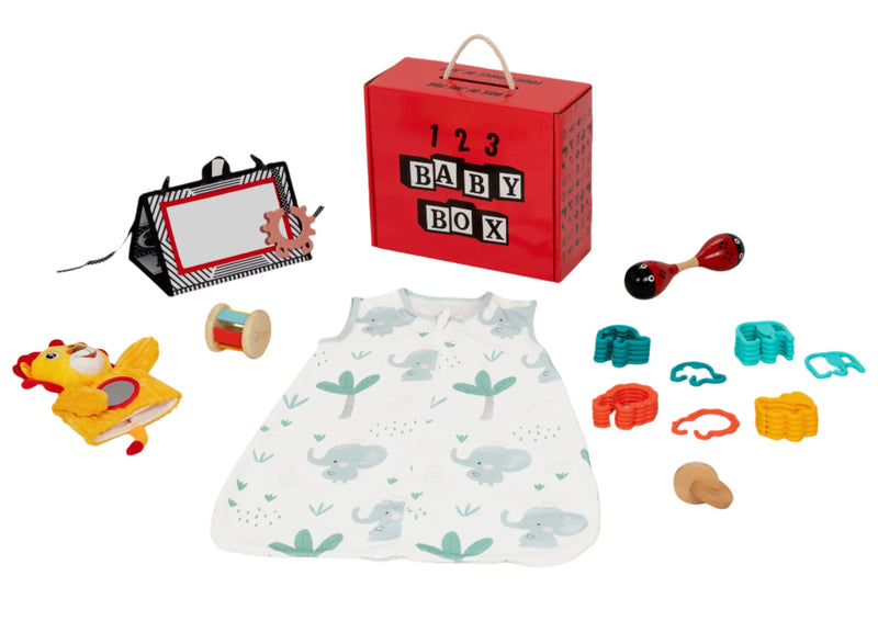 Montessori Educational Box (3-4 Months) - BIG FRENCHIES