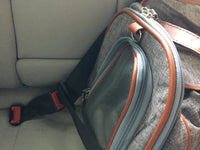Mr. Peanut's Gold Series Big Apple XL Size Double Expandable Pet Carrier - BIG FRENCHIES