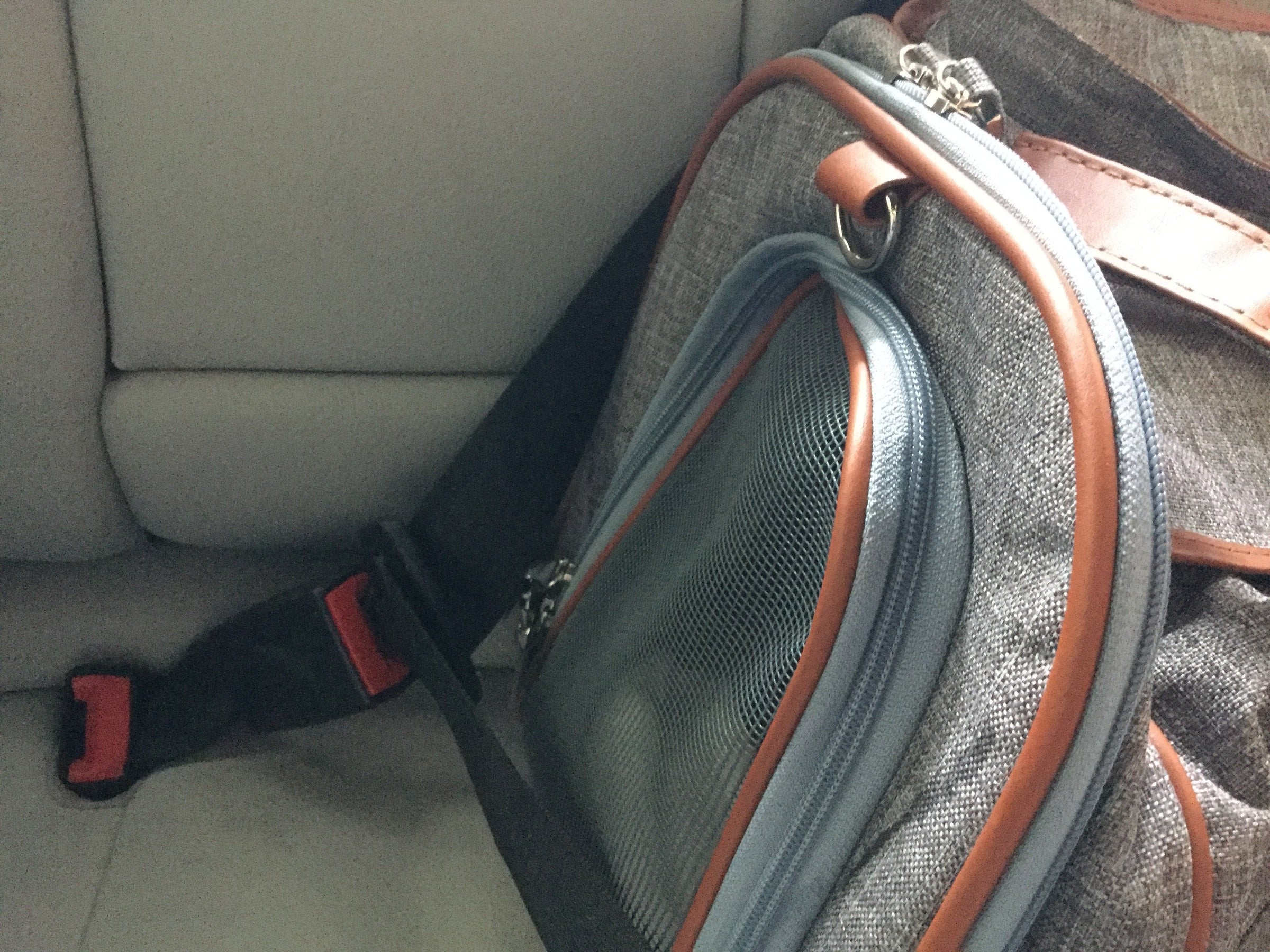 Mr. Peanut's Gold Series Big Apple XL Size Double Expandable Pet Carrier - BIG FRENCHIES
