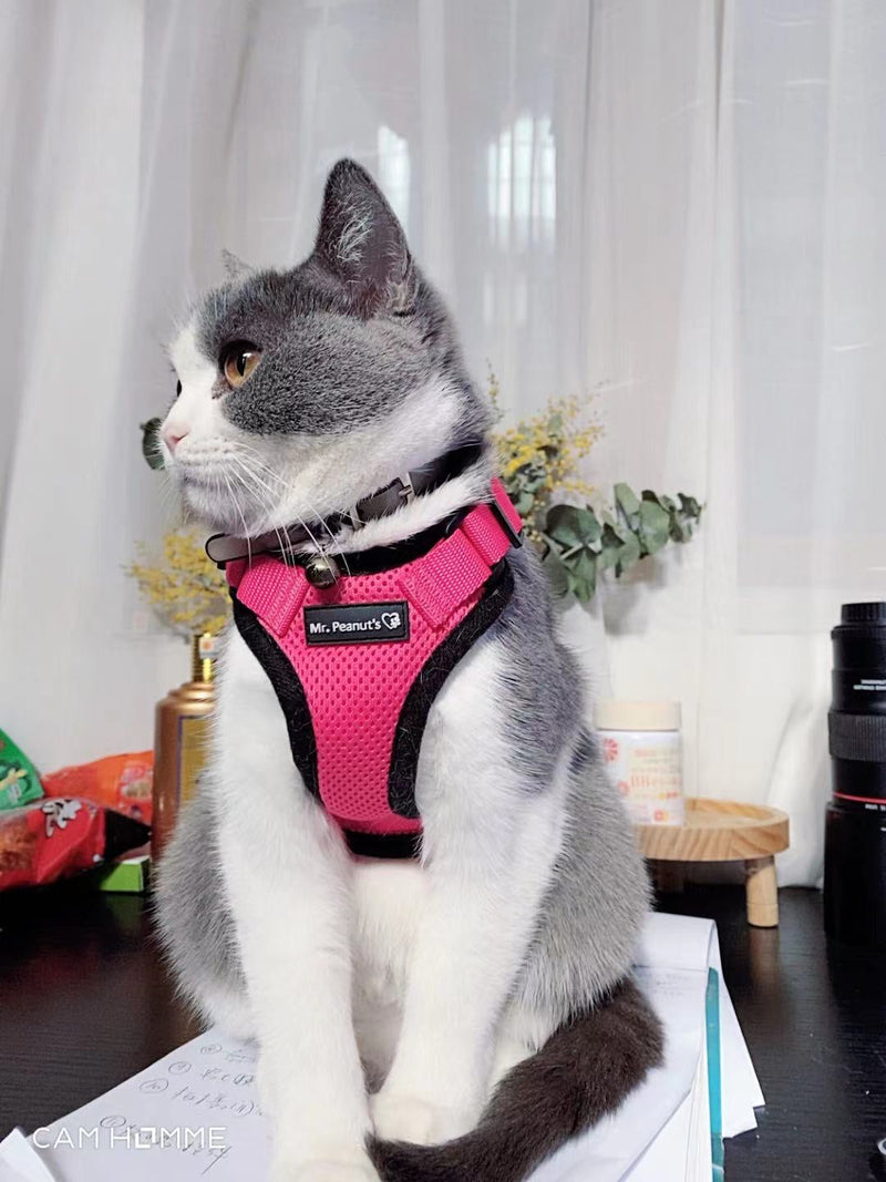 Mr. Peanut's PurrTrek Reflective Cat Harness with Matching Leash - BIG FRENCHIES