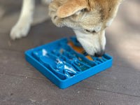 Waiting Dogs eTray - Shallow Slow Feeder Bowl for Enrichment | USA Made - BIG FRENCHIES
