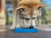 Waiting Dogs eTray - Shallow Slow Feeder Bowl for Enrichment | USA Made - BIG FRENCHIES