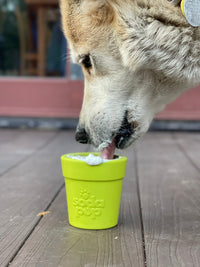Large Flower Pot eCup Dog Treat Dispenser | Durable USA-Made Enrichment Toy | SodaPup - BIG FRENCHIES