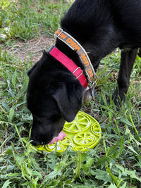 Citrus Design eMat - Enrichment Lick Mat For Dogs and Cats - with Suction Cups | USA Made - BIG FRENCHIES