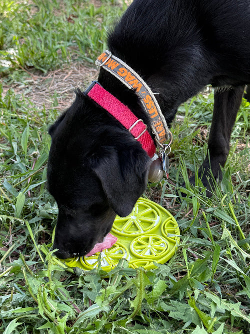 Citrus Design eMat - Enrichment Lick Mat For Dogs and Cats - with Suction Cups | USA Made - BIG FRENCHIES