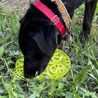 Citrus Design eMat - Enrichment Lick Mat For Dogs and Cats - with Suction Cups | USA Made - BIG FRENCHIES