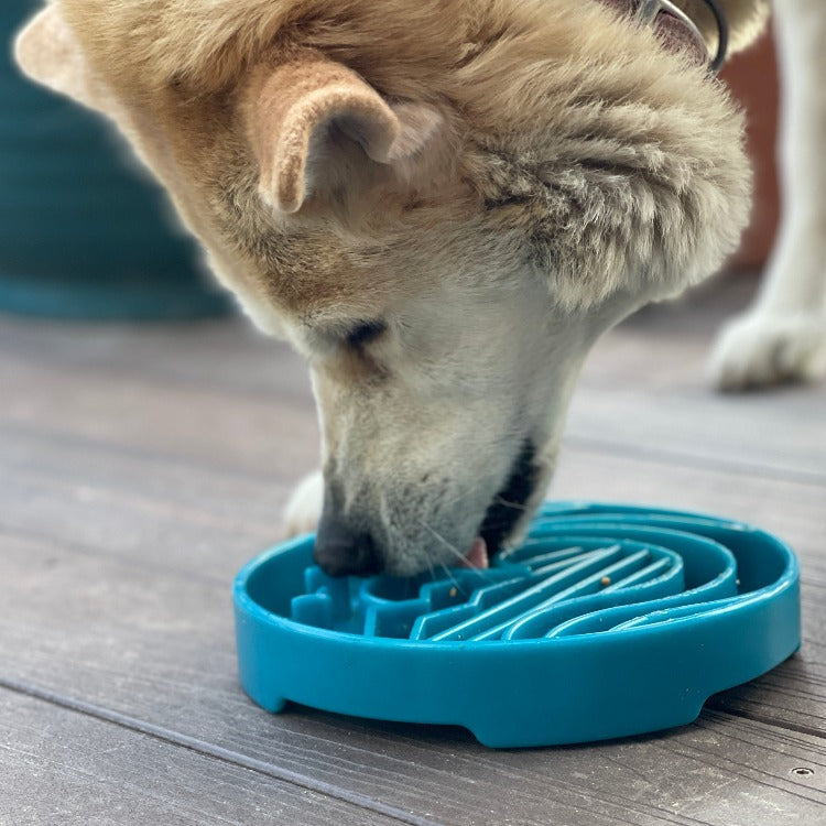 Baja Design eTray - Shallow Slow Feeder Dog Bowl for Enrichment | USA Made - BIG FRENCHIES