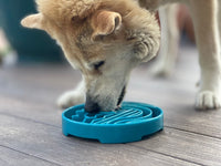 Baja Design eTray - Shallow Slow Feeder Dog Bowl for Enrichment | USA Made - BIG FRENCHIES