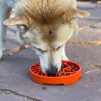Sun and Moon eTray - Shallow Slow Feeder Dog Bowl for Enrichment | USA Made - BIG FRENCHIES