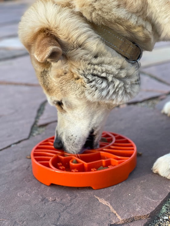 Sun and Moon eTray - Shallow Slow Feeder Dog Bowl for Enrichment | USA Made - BIG FRENCHIES