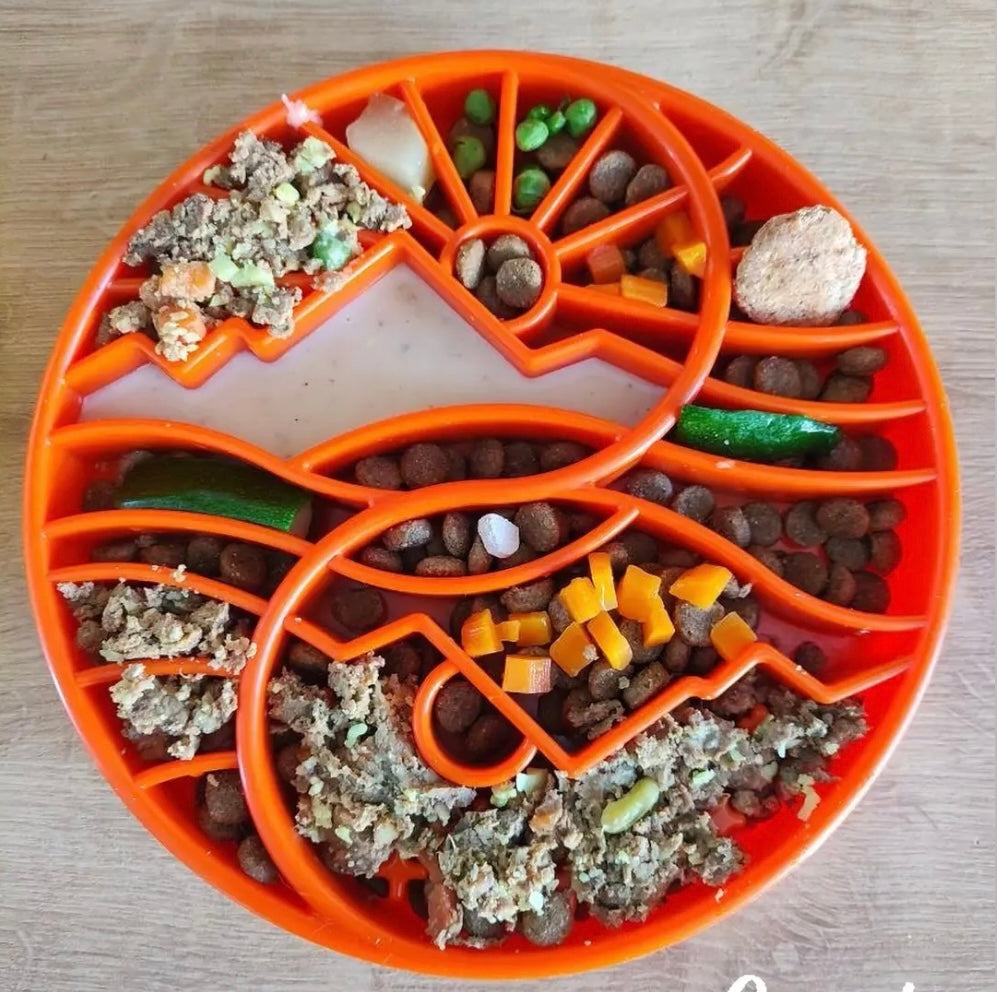 Sun and Moon eTray - Shallow Slow Feeder Dog Bowl for Enrichment | USA Made - BIG FRENCHIES
