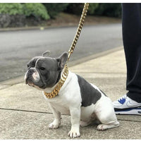 Kilo Cuban Link | Leash - BIG FRENCHIES