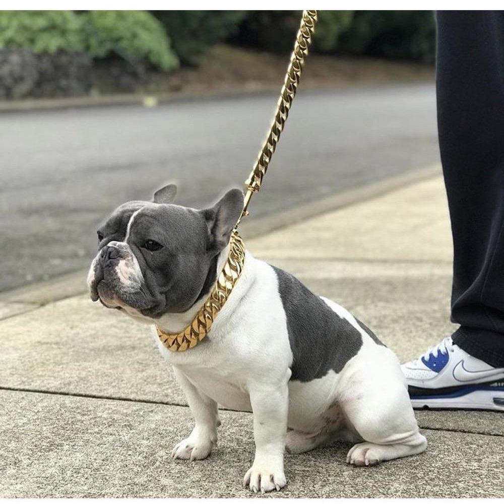 Kilo Cuban Link | Leash - BIG FRENCHIES