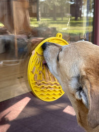 Sun n' Sea eMat - Enrichment Lick Mat For Dogs and Cats - With Suction Cups - Beach Design | USA Made - BIG FRENCHIES