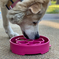 Flower eBowl Deep Slow Feeder Dog Bowl for Enrichment | USA Made - BIG FRENCHIES