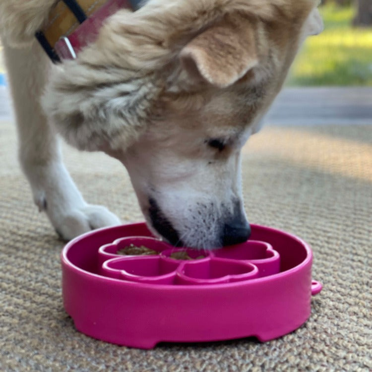 Flower eBowl Deep Slow Feeder Dog Bowl for Enrichment | USA Made - BIG FRENCHIES