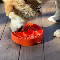 Great Outdoors eBowl - Slow Feeder Dog Bowl & Enrichment | USA Made - BIG FRENCHIES
