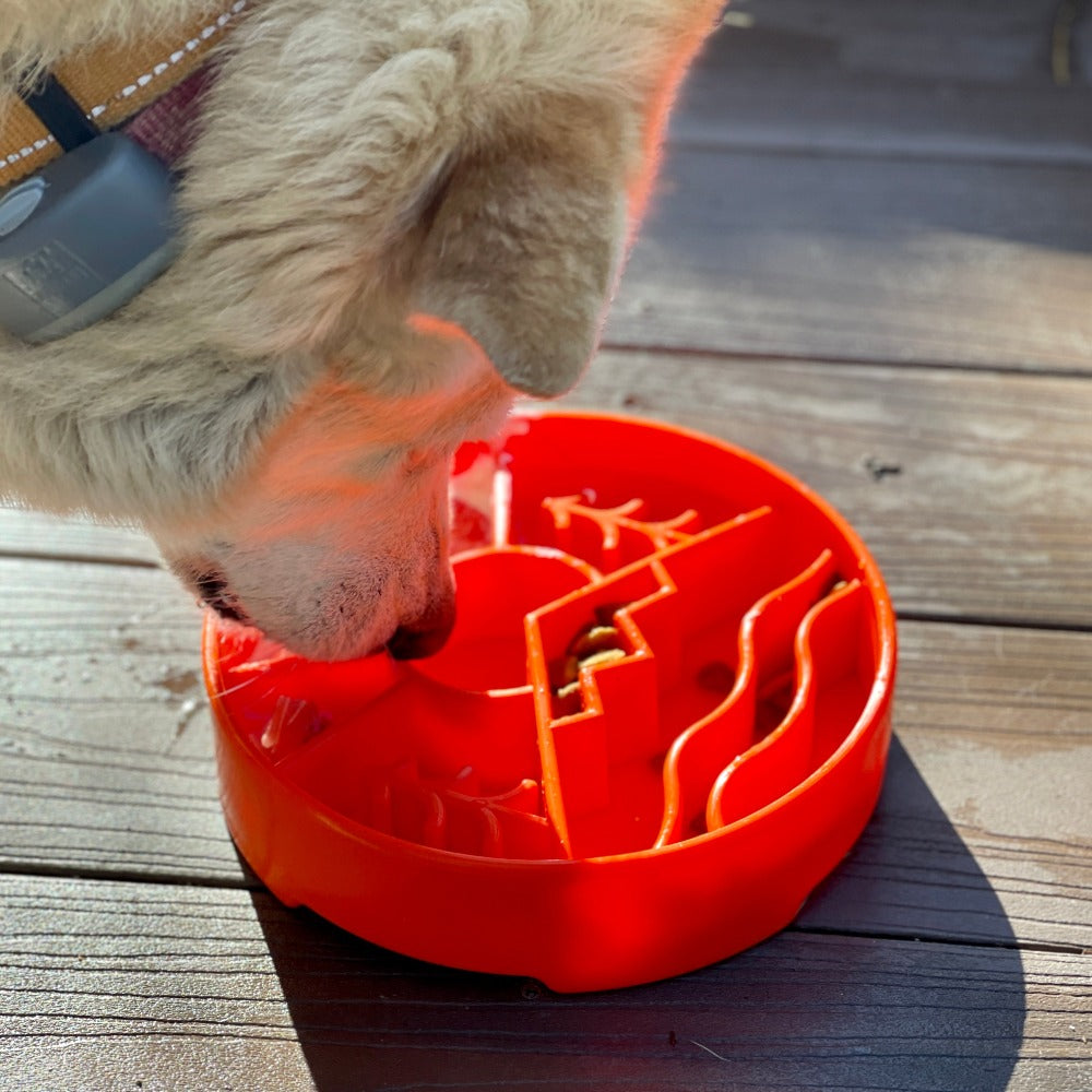 Great Outdoors eBowl - Slow Feeder Dog Bowl & Enrichment | USA Made - BIG FRENCHIES