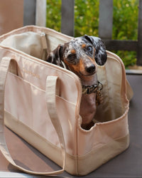 Beige Pet Tote Bag - BIG FRENCHIES