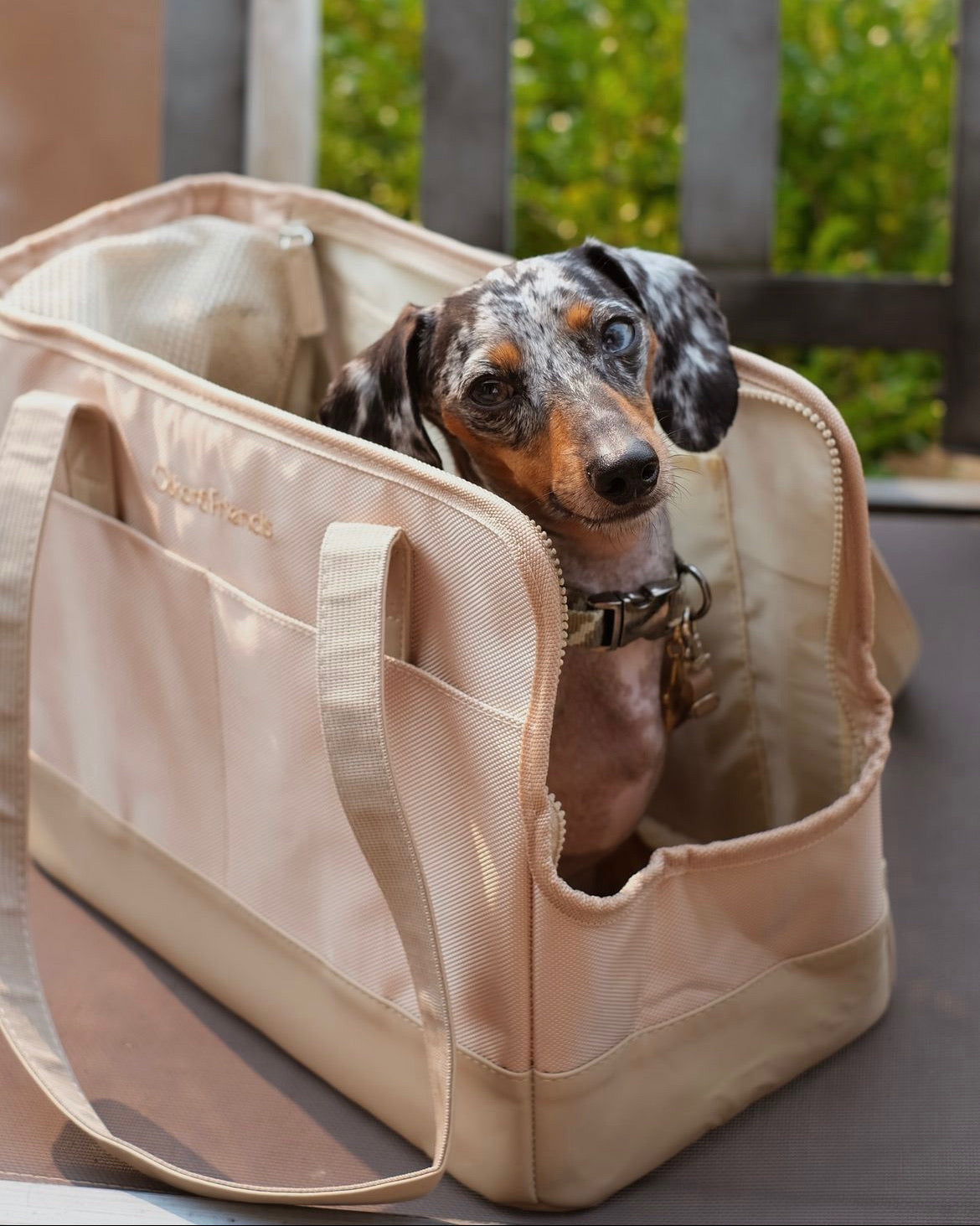 Beige Pet Tote Bag - BIG FRENCHIES