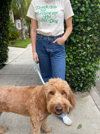 Thank You For Letting Me Pet Your Dog Tee - BIG FRENCHIES
