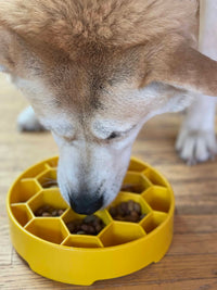 Honeycomb eBowl Deep Slow Feeder Dog Bowl for Enrichment | USA Made - BIG FRENCHIES