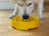 Honeycomb eBowl Deep Slow Feeder Dog Bowl for Enrichment | USA Made - BIG FRENCHIES