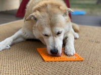 Zombie eMat - Enrichment Lick Mat for Dogs and Cats | Halloween Skull Design | SodaPup - BIG FRENCHIES