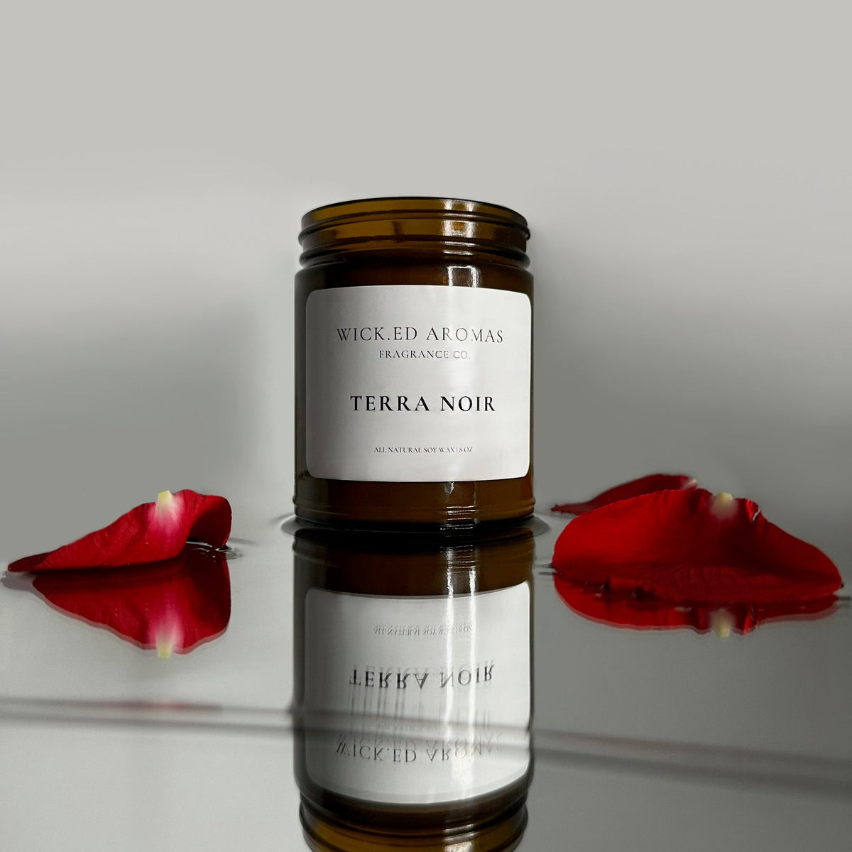 Terra Noir - BIG FRENCHIES