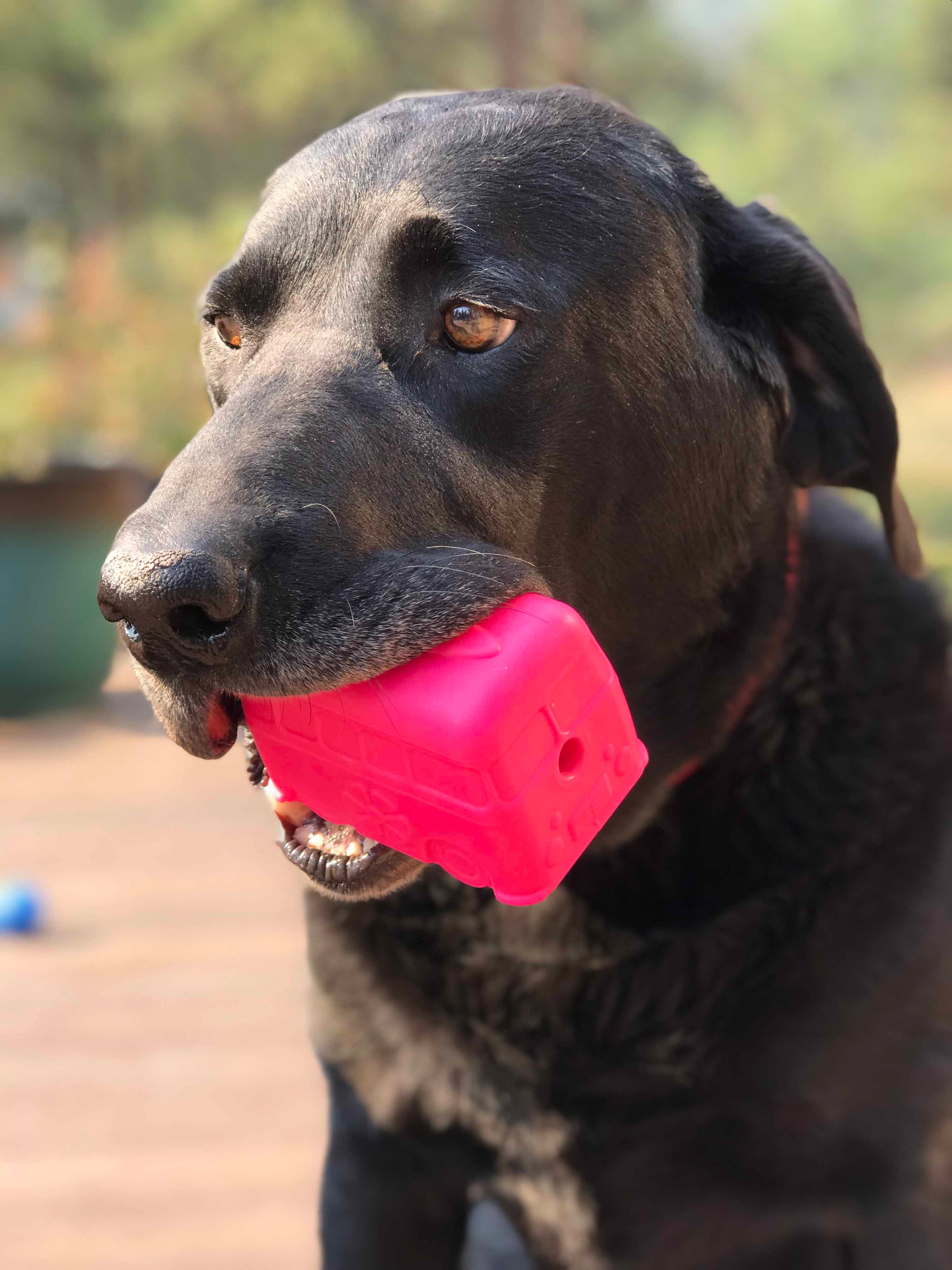 Surf's Up! Retro Van Dog Toy - Durable Chew Toy for Large Dogs | USA Made - BIG FRENCHIES