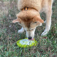 Water Frog eTray - Shallow Slow Feeder Dog Bowl for Enrichment | USA Made - BIG FRENCHIES