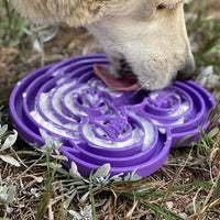 Water Frog eTray - Shallow Slow Feeder Dog Bowl for Enrichment | USA Made - BIG FRENCHIES