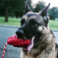 USA-K9 Grenade Rubber Dog Chew Toy | K9 Handler Reward Toy | Blue | USA Made - BIG FRENCHIES