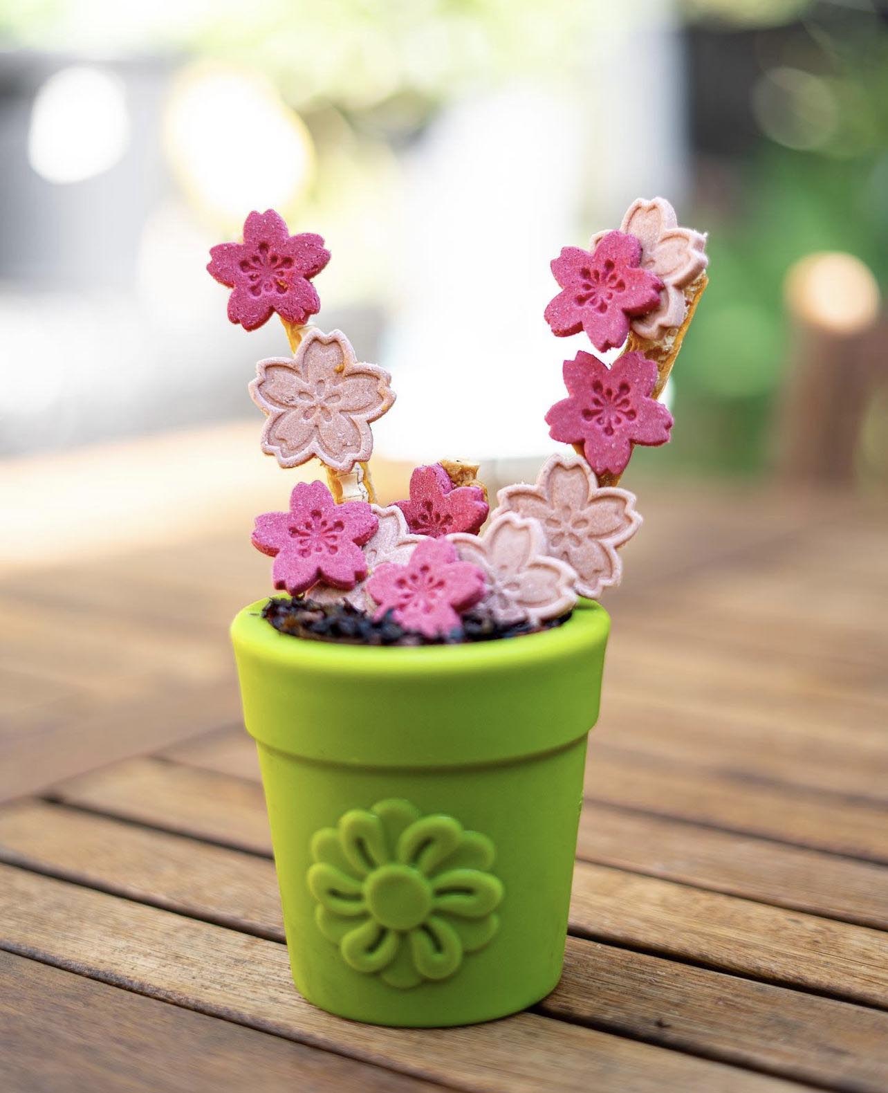 Large Flower Pot eCup Dog Treat Dispenser | Durable USA-Made Enrichment Toy | SodaPup - BIG FRENCHIES