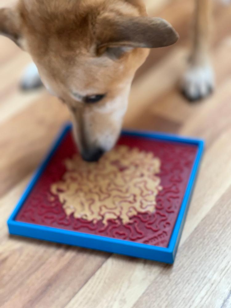 Hold 'em Suction Cup Holder for Dog Bowls & Lick Mats | USA Made - BIG FRENCHIES