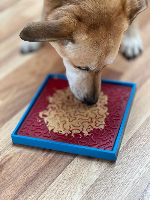 Hold 'em Suction Cup Holder for Dog Bowls & Lick Mats | USA Made - BIG FRENCHIES
