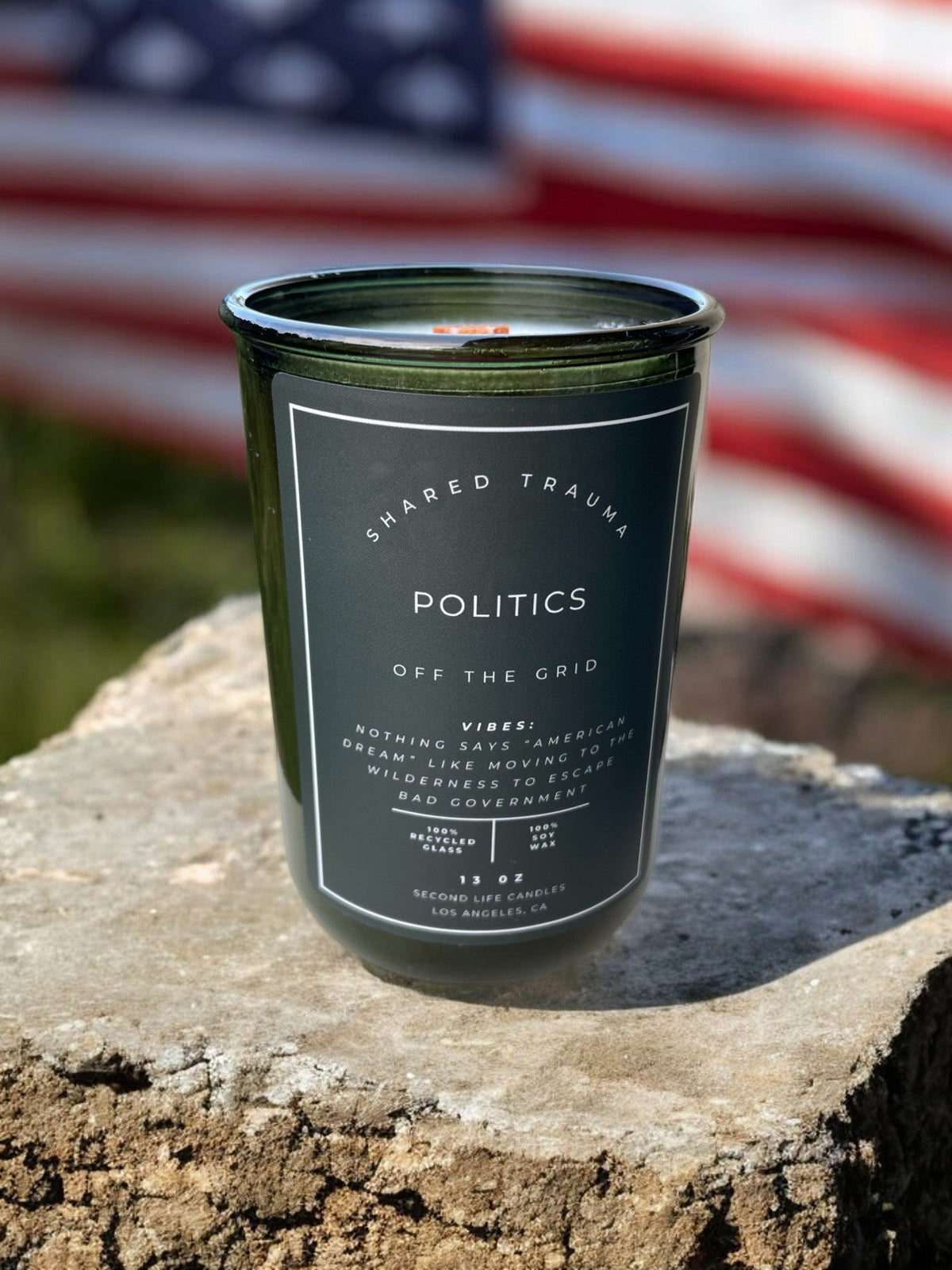 Shared Trauma Candles - Politics - 13 Oz Crackling Wood Wick - Amber Sage & Moss - BIG FRENCHIES