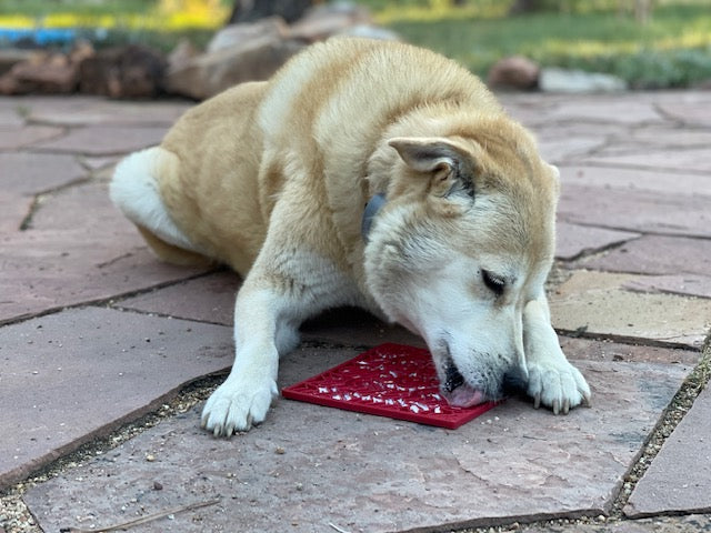 Love eMat - Enrichment Lick Mat for Dogs and Cats| Heart Design | SodaPup - BIG FRENCHIES