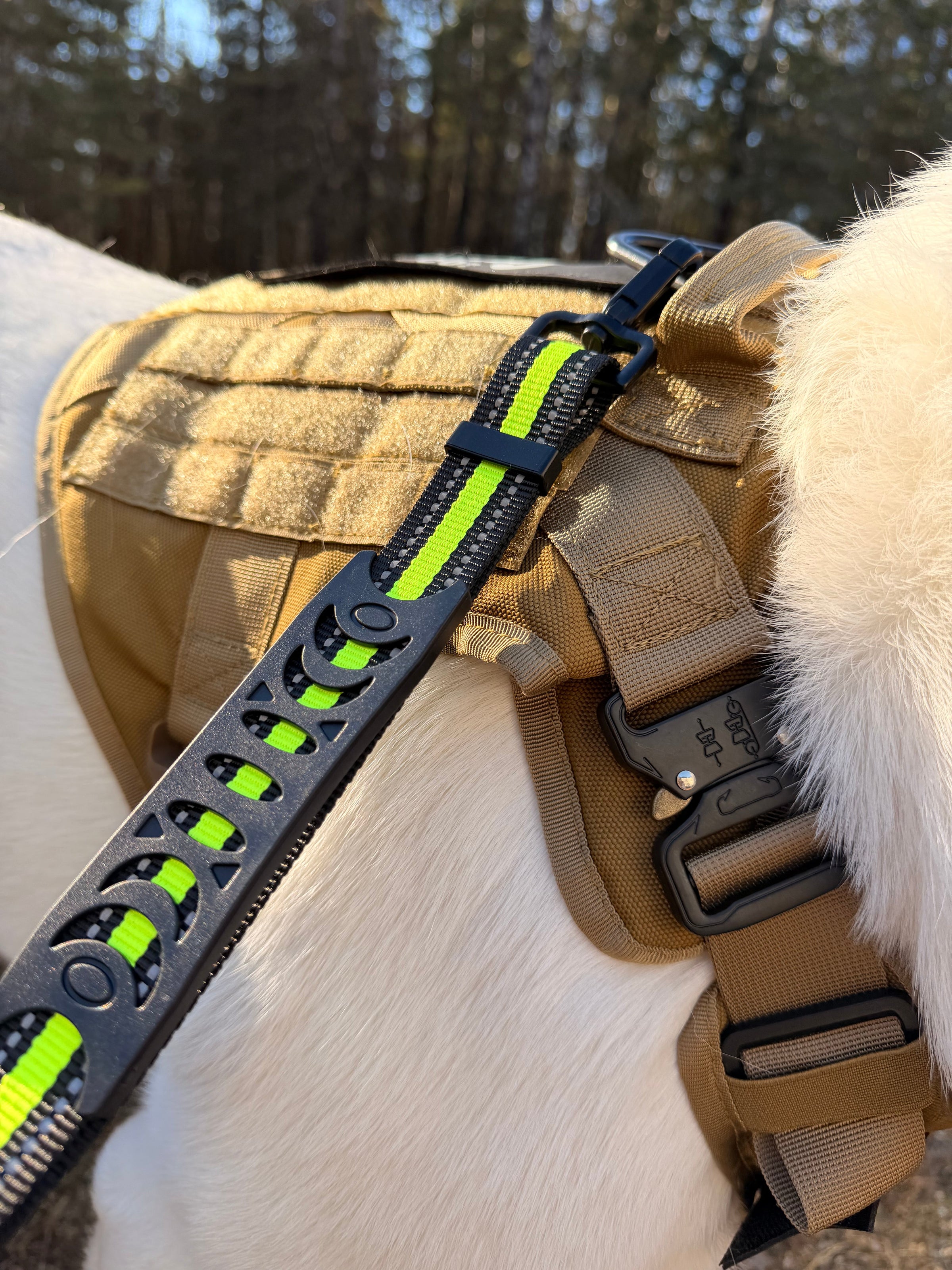 Hands-Free Running/Hiking Bungee Leash
