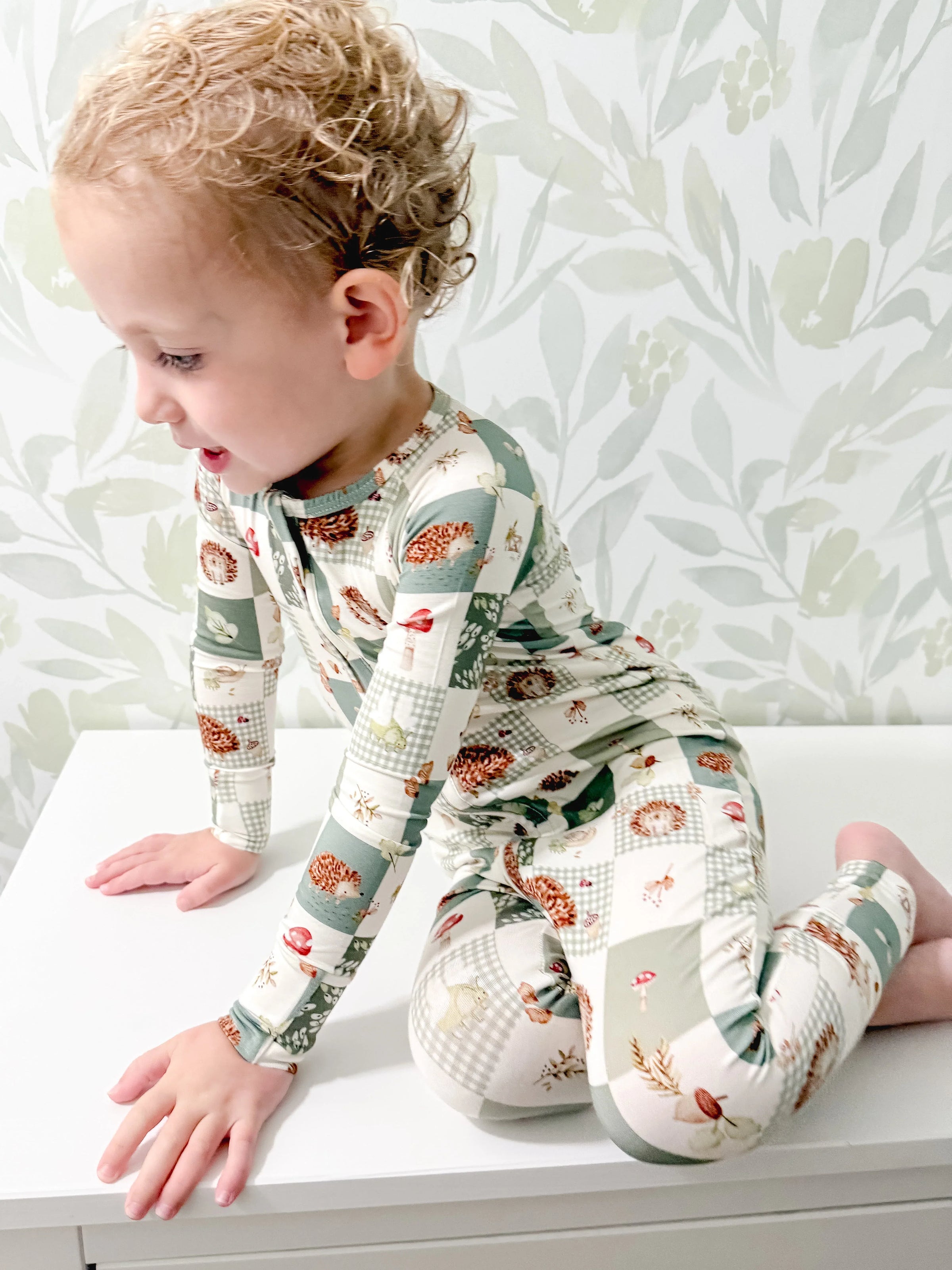 Harvest Hedgehogs Bamboo Zippy Pajamas - BIG FRENCHIES