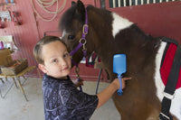 Blue 2 pack (medium with large holes)