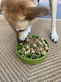 Pine Tree Christmas eBowl Deep Slow Feeder Dog Bowl for Enrichment | USA Made - BIG FRENCHIES