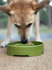 Pine Tree Christmas eBowl Deep Slow Feeder Dog Bowl for Enrichment | USA Made - BIG FRENCHIES