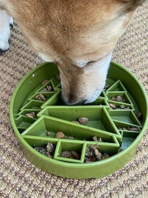 Pine Tree Christmas eBowl Deep Slow Feeder Dog Bowl for Enrichment | USA Made - BIG FRENCHIES